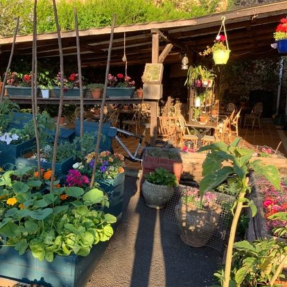 Terrasse au Printemps