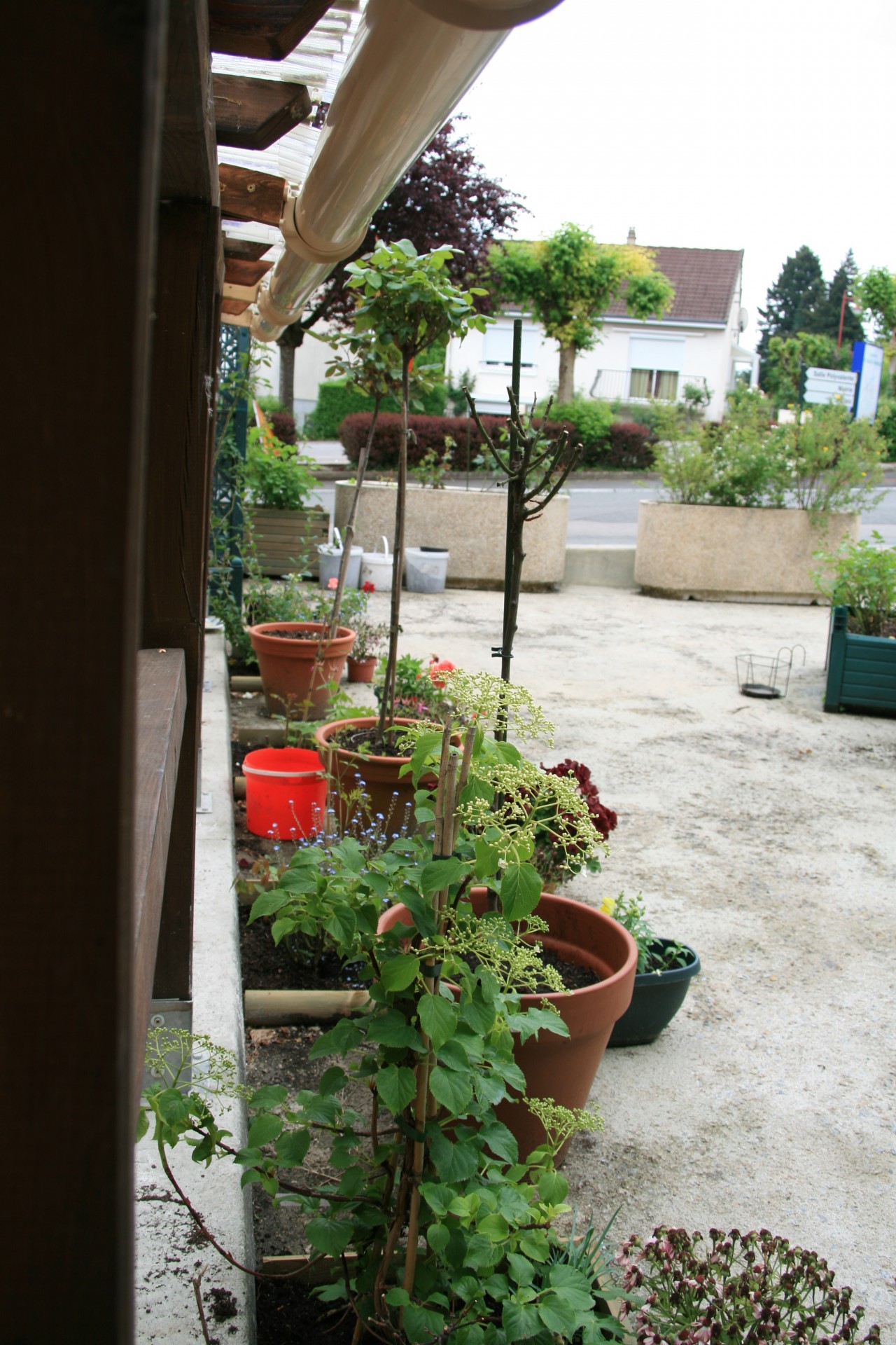 Terrasse 13 mai 4 